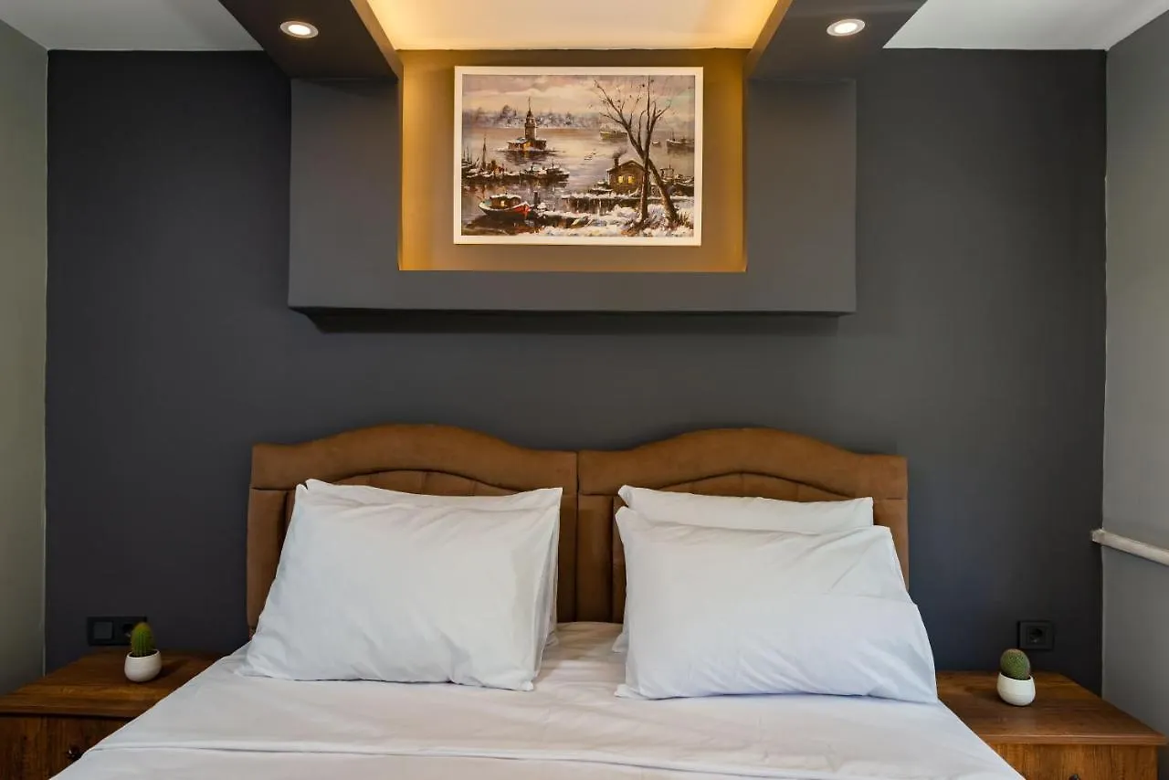Hagia Sophia Luxury Home Istanbul Turkiet